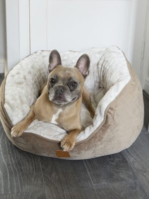 Dog butterfly bed