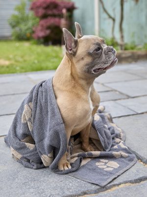 Jumbo terry jacquard dog towel