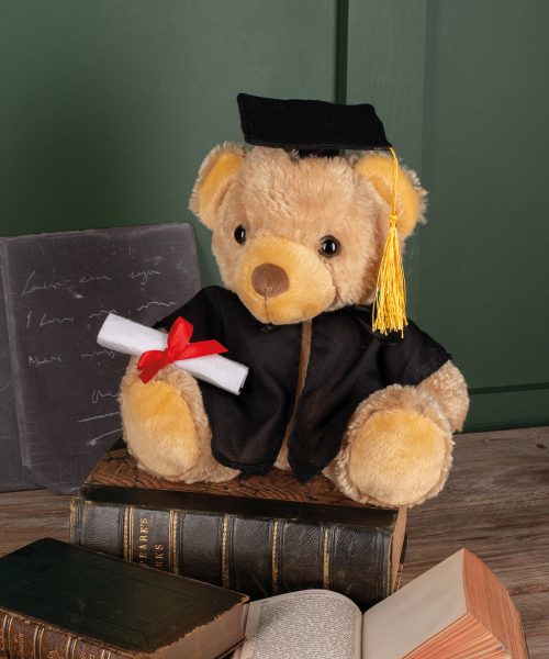 Graduation bear